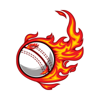 Icon Cricket