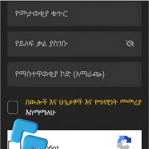መመሪያ ውሎችን ተቀበል፡ የመድረክን T&Cs